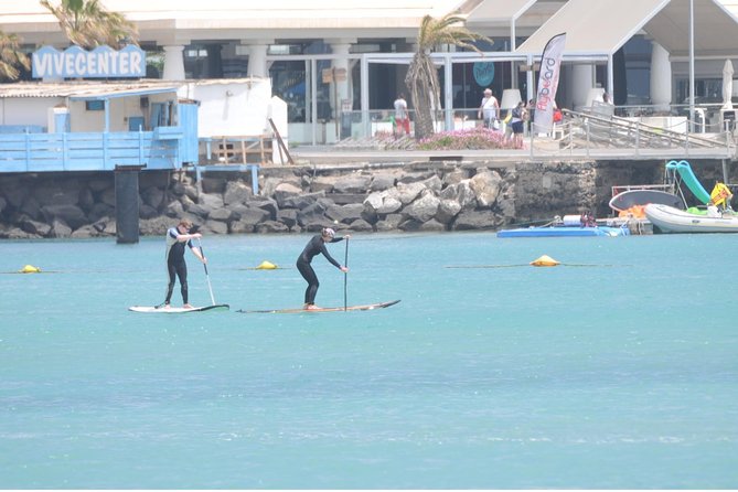 1,5-Hour Beginners Stand Up Paddle Course in Caleta de Fuste - The Caleta de Fuste setting: views, marina energy, and real-world SUP