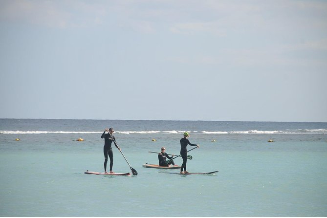 1,5-Hour Beginners Stand Up Paddle Course in Caleta de Fuste - Price and value: is $41.40 good?