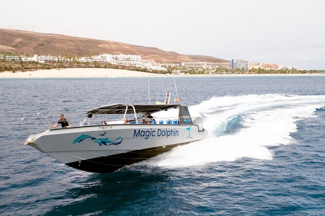 2-Hour Dolphin Watching Experience in Fuerteventura - Getting There: Morro Jable Check-In and Boat Loading