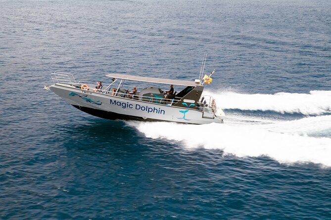2-Hour Dolphin Watching Experience in Fuerteventura - Boat Comfort: Inside, Outside, and the Soft-Drink Perk