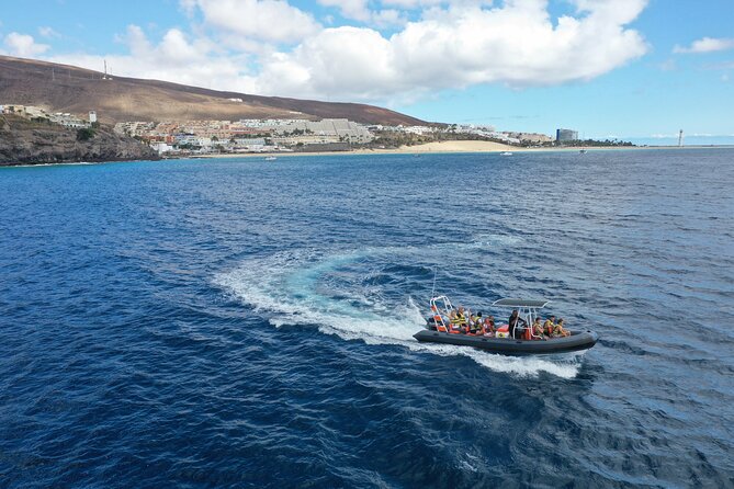 2h Dolphin and Whale Viewing + Snorkeling Tour - Morro Jable Speedboat Start: How This 2 Hours Flows