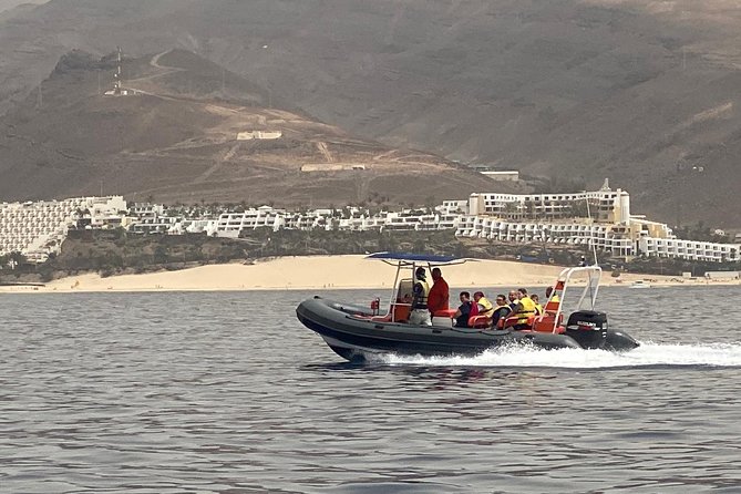 2h Dolphin and Whale Viewing + Snorkeling Tour - Group Size, Music, and the On-Board Vibe (Why This Feels Better Than Big Tours)