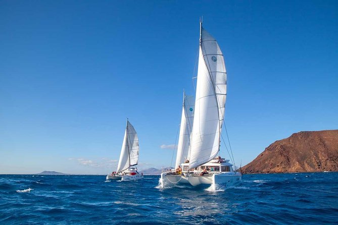 4-Hour Sailing Tour of Lobos Island from Fuerteventura - Price and Value: What You’re Really Paying For