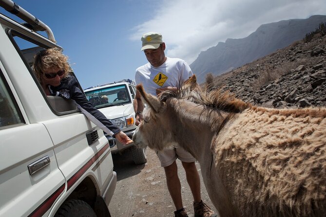 4X4 Safari: Jandía Natural Park and Cofete - Why Jandía Natural Park and Cofete deserve a whole day