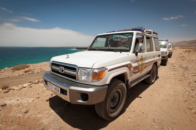 4X4 Safari: Jandía Natural Park and Cofete - Morro Jable morning: coast energy and a wildlife-style moment