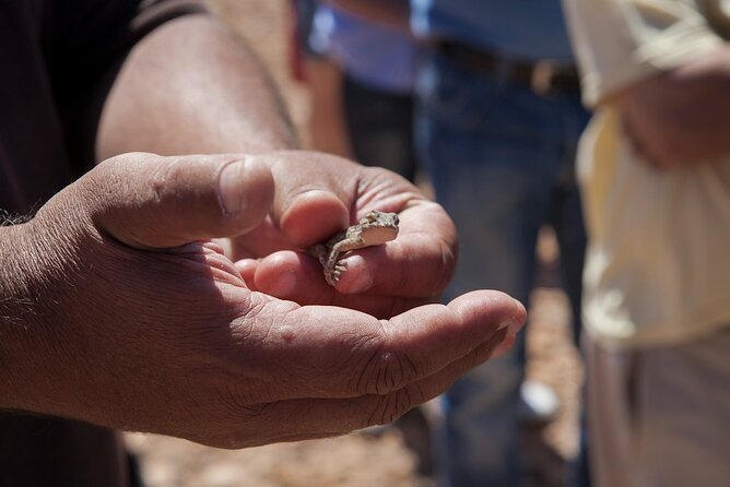 4X4 Safari: Jandía Natural Park and Cofete - Price and value: how $82.21 holds up