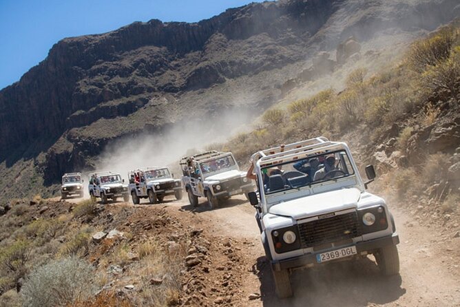 4X4 Safari: Jandía Natural Park and Cofete - Jandía Natural Park roads: plants, farming, and why the land looks the way it does