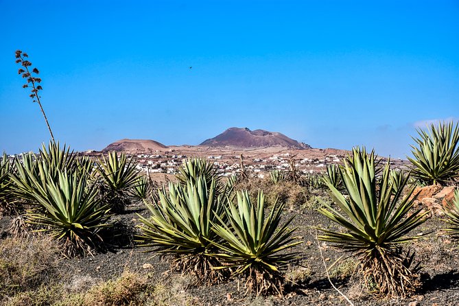 Buggy Fuerteventura Off-Road Excursions - Stop 1 at Parque Natural de Corralejo: photos plus a short walk