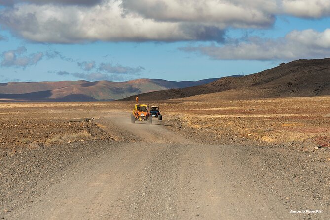 Buggy Safari in Caleta de Fuste - Camino los Alares goat farm: the most local-feeling hour