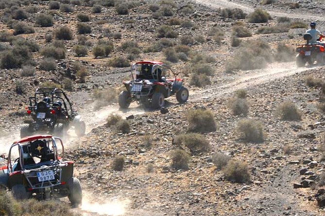 Buggy Safari In Costa Calma - How the Check-In at Centro comercial el Palmeral Actually Matters