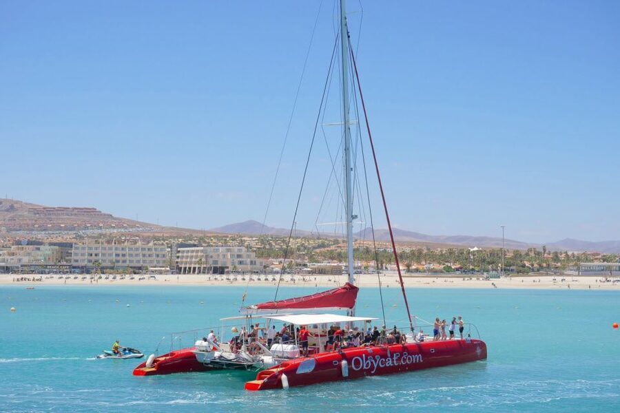 Caleta de Fuste: Catamaran Sailing Experience - Key highlights you can plan around