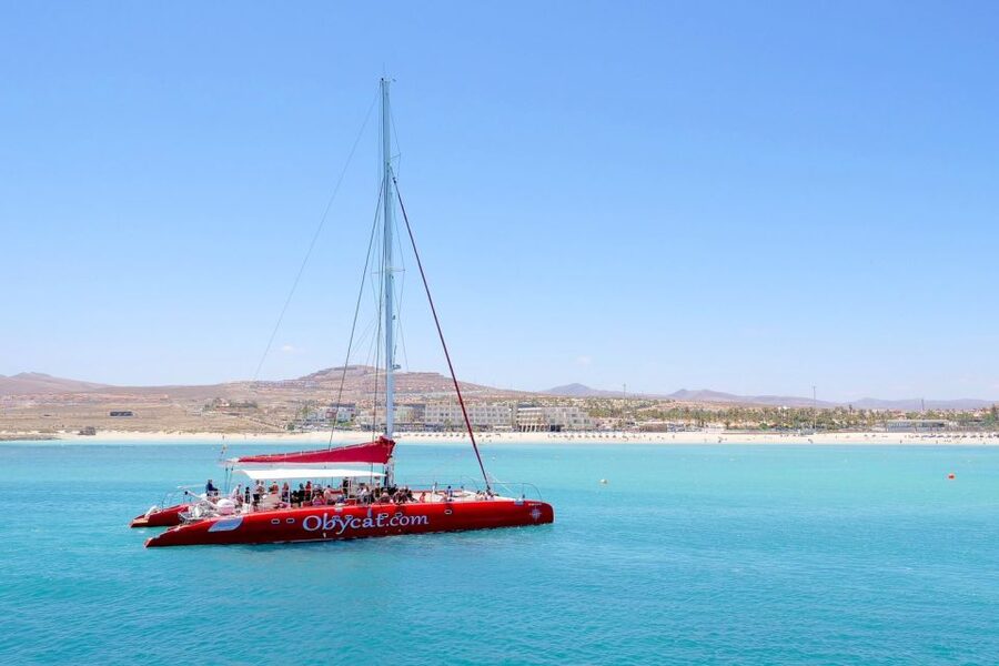 Caleta de Fuste: Catamaran Sailing Experience - Comfort, weather reality, and what to pack