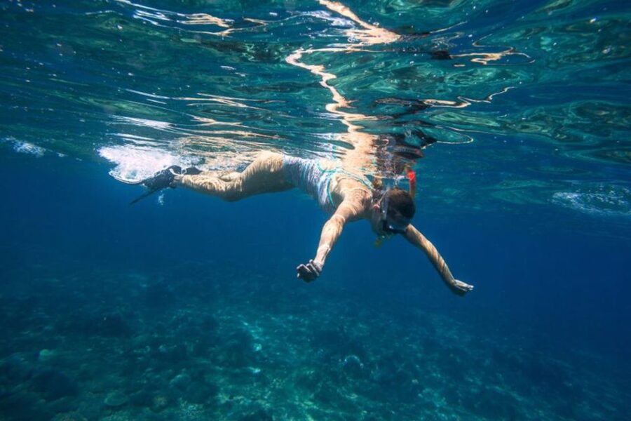 Caleta de Fuste: Catamaran Sailing Experience - The sail to Pozo Negro Bay: calm pace, animal sightings, good atmosphere
