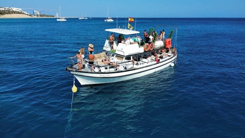 Costa Calma: Fuerteventura Dolphin Watching Zodiac Boat Tour - Time on the Water: What 1.5 Hours Feels Like