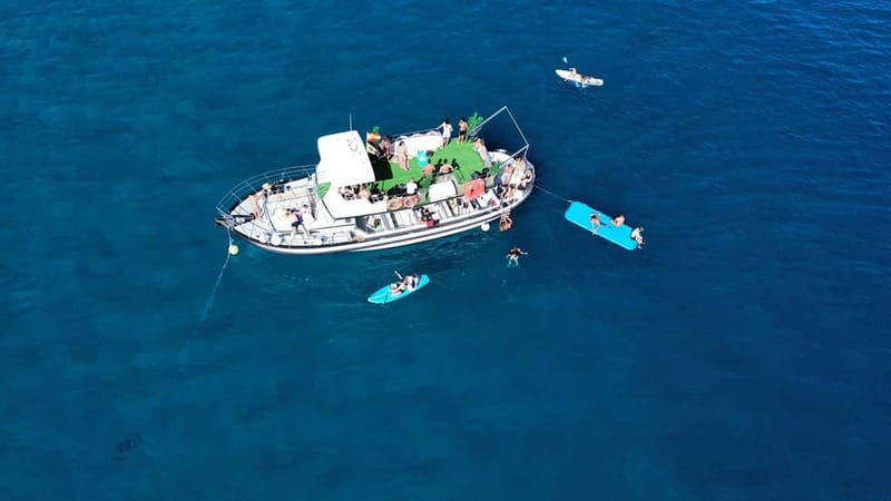 Costa Calma: Fuerteventura Dolphin Watching Zodiac Boat Tour - What Is Not Included (and the Small Choices That Matter)