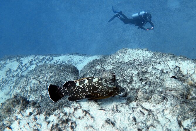 Discover Scuba Diving in Costa Calma - Costa Calma first-time scuba: what this experience really is