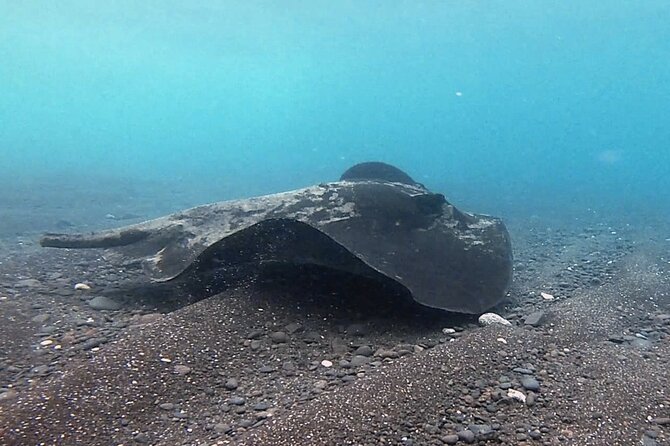 Discover Scuba Diving in Costa Calma - The shore start: breathing, gear, and getting your bearings fast