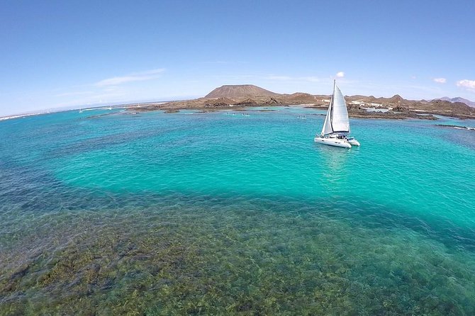Exclusive Sailing Catamaran Experience to Lobos Island with lunch - Crew energy and the rhythm of your afternoon