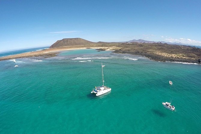 Exclusive Sailing Catamaran Experience to Lobos Island with lunch - Price and logistics: where your money actually goes