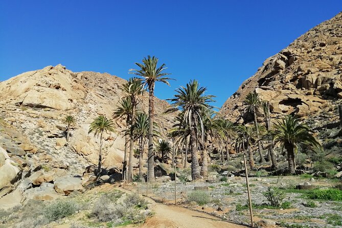 Excursion to Ajuy Caves with a secret Las Penitas canyon Hike - Passing Tindaya en route: archaeology you can actually see