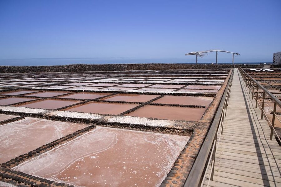 From Caleta de Fuste: Explore Rural Fuerteventura Tour - Key points before you go