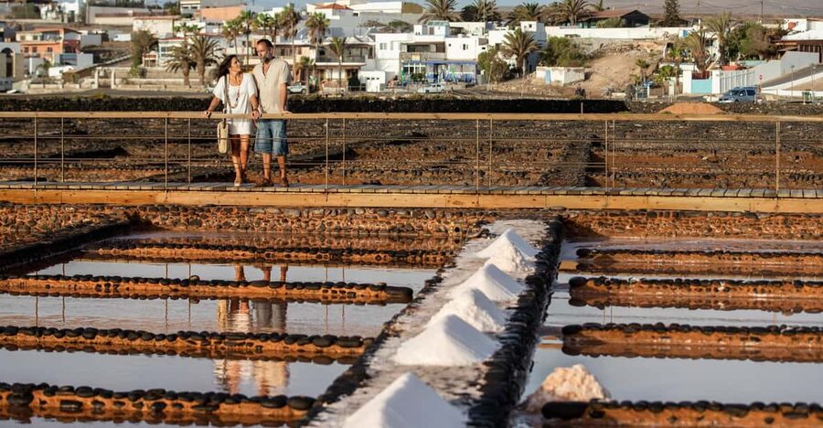 From Caleta de Fuste: Explore Rural Fuerteventura Tour - Cheese farm stop in the Los Alares area: goats, cheese, and wildlife spotting