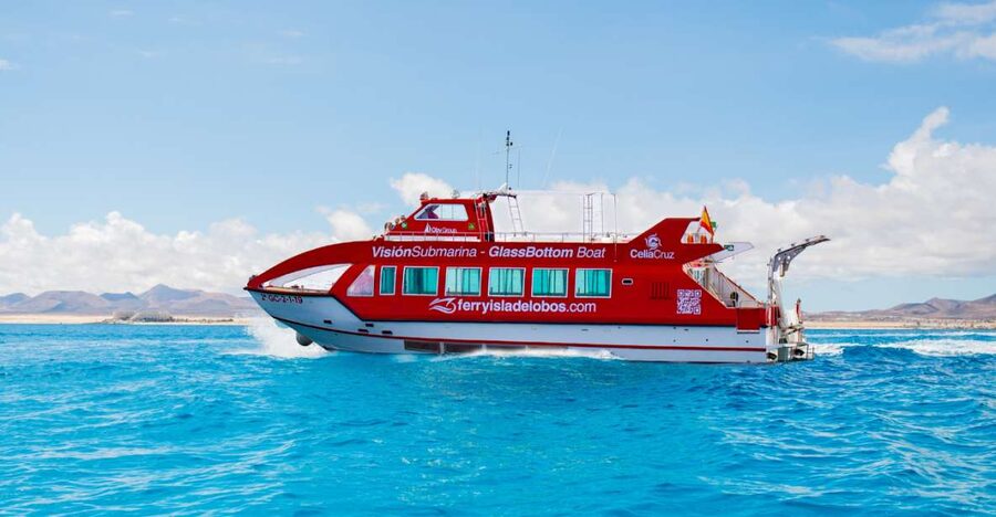 From Caleta de Fuste: Return Bus and Ferry to Lobos Island - Leaving the Ferry Behind: Exploring Lobos Island on Foot