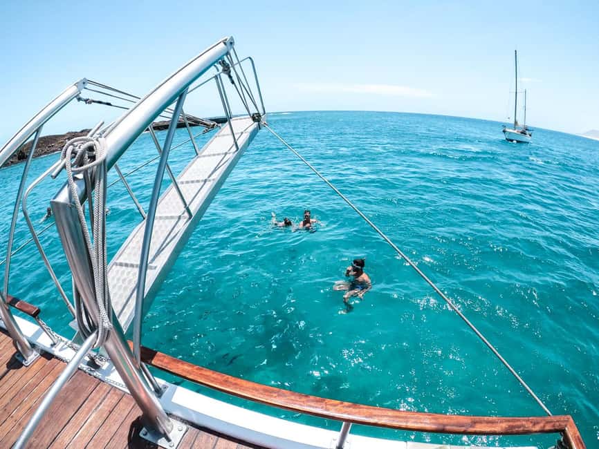 From Corralejo: Lobos Island Boat and Snorkel Activity - Naviera Nortour meeting point and the timing choices that matter