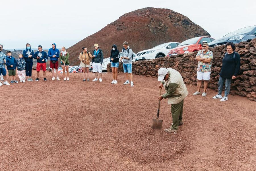 From Fuerteventura: Lanzarote Trip with Wine Tasting & Lunch - Jameos del Agua: the lava tube experience and the Jameito crab