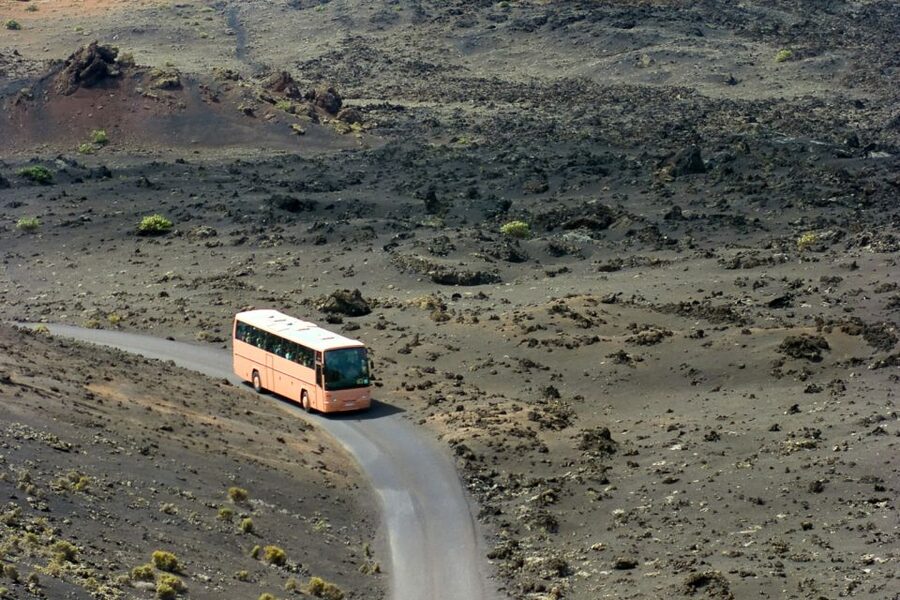 From Fuerteventura: Lanzarote Volcano and Wine Region Tour - What you’re really paying for at about $98