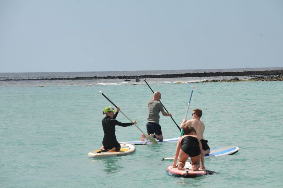 Fuerteventura: 1.5-Hour SUP Course - Caleta de Fuste - What to bring (and the one confusing detail you should clarify)