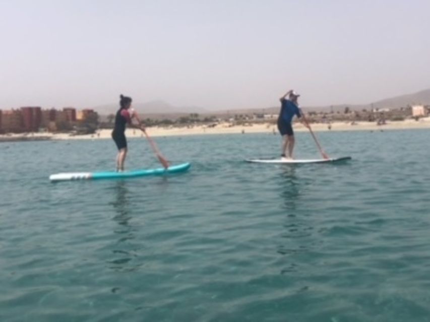 Fuerteventura: 1.5-Hour SUP Course - Caleta de Fuste - The coaching that helps you stand: small groups and Claudia’s style