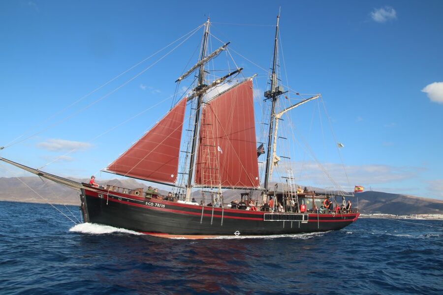 Fuerteventura: 4-Hour Pirate Sailing Adventure - Logistics That Matter: Pickup Zones, Timing, and What to Expect If Weather Changes