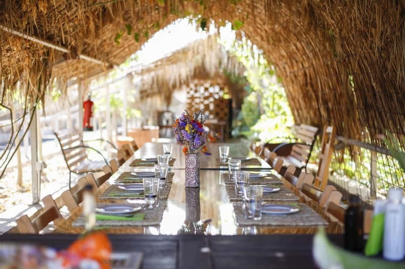 Fuerteventura Aloe & Olivo Tour with Optional Lunch - Key highlights worth planning around