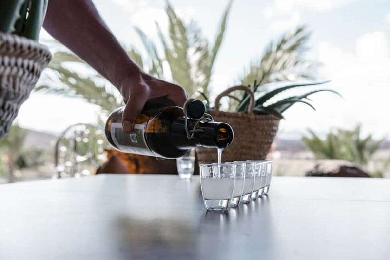 Fuerteventura Aloe & Olivo Tour with Optional Lunch - Olive groves and oil production: how tastings make sense