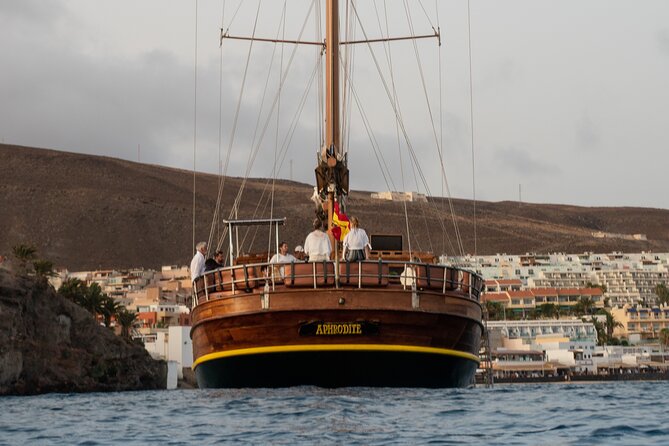 Fuerteventura: Aphrodite Exclusive Gulet with Food and Drinks - Dolphins, Sea Turtle, and the Reality Check on Sails