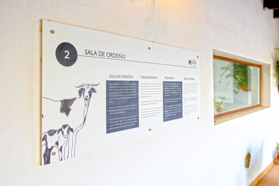 Fuerteventura: Artisan Goat's Cheese Making at Local Farm - Fuerteventura’s cheese story starts with the goats