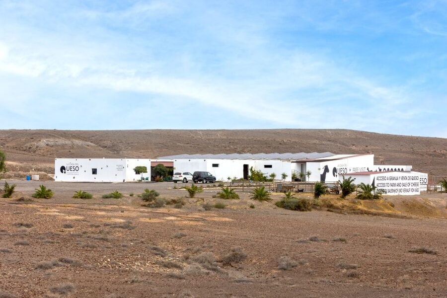 Fuerteventura: Artisan Goat's Cheese Making at Local Farm - Tips to get the most from your 2.5-hour farm session