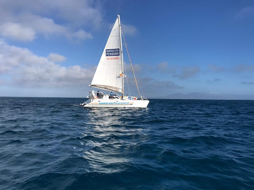 Fuerteventura : Catamaran excursion to Lobos Island - La Concha Beach Anchoring: Snorkel, Kayak, And Paddleboard Time