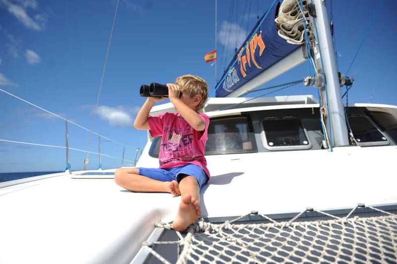 Fuerteventura: Catamarán navegación a vela y delfines. - Price and value: why $104 can make sense here