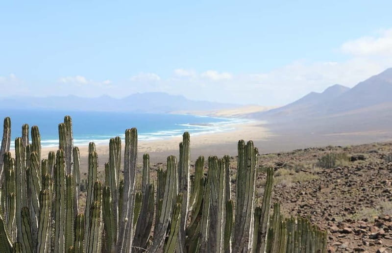 Fuerteventura: Cofete Safari - Mirador de Cofete: the photo stop with real meaning