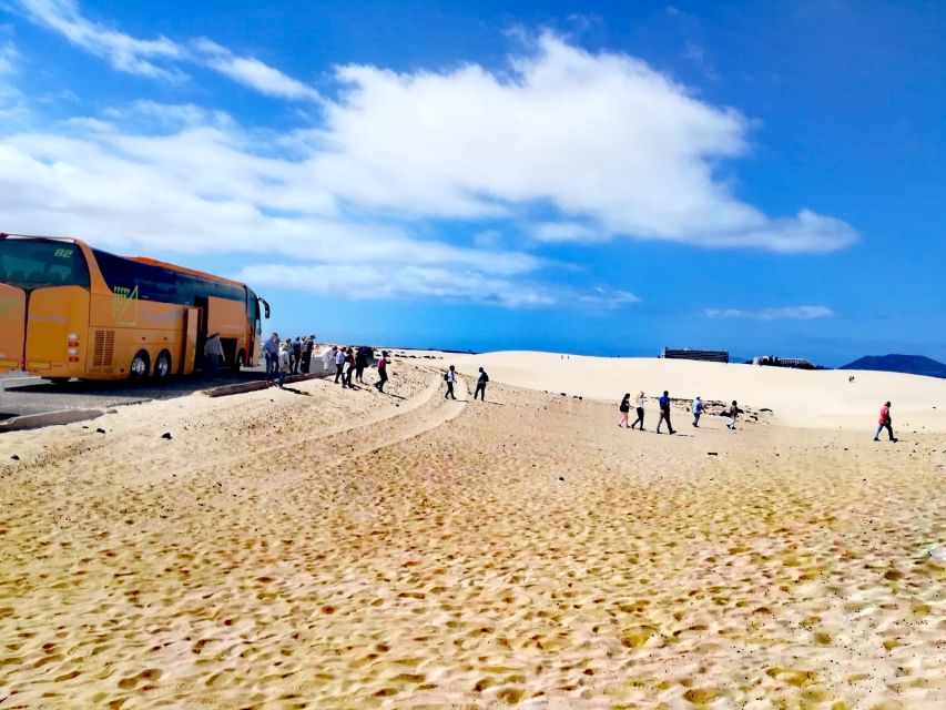 Fuerteventura: Corralejo Sand Dunes Guided Shore Excursion - Should You Book It?