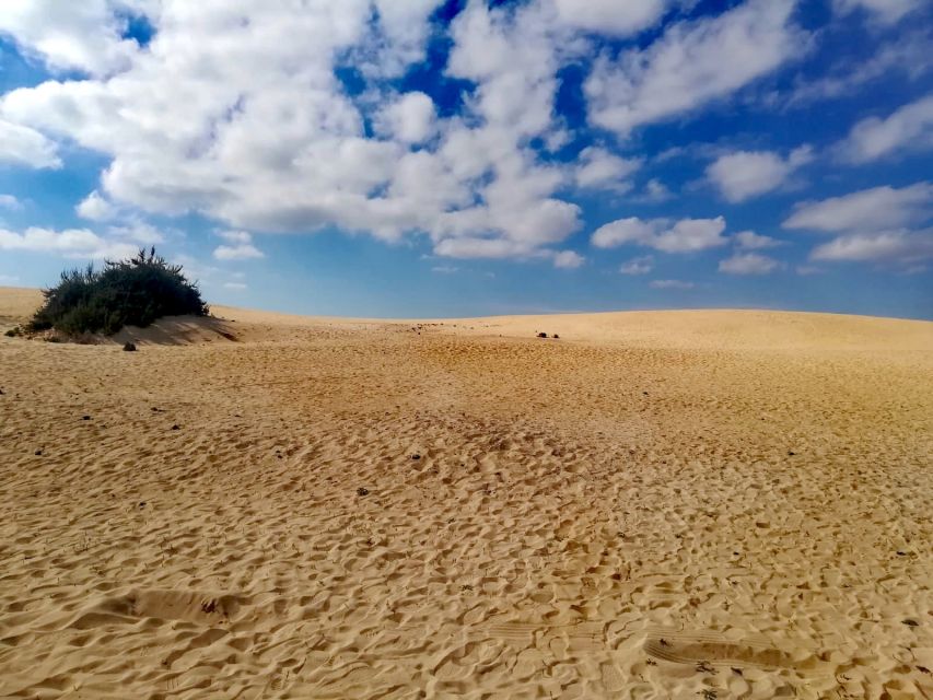 Fuerteventura: Corralejo Sand Dunes Guided Shore Excursion - Swim Time in Crystal Waters: Coves, Cooling Off, and Planning for Clothes