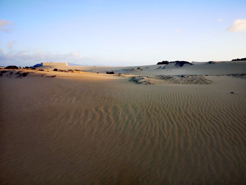 Fuerteventura: Corralejo Sand Dunes Guided Shore Excursion - Corralejo’s Maritime Avenue: Shopping and Cafés Without the Rushed Feeling