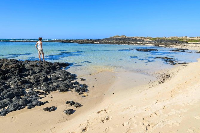 Fuerteventura: DISCOVER FUERTEVENTURA TOUR 7 hours max 8 people - Key things you’ll notice right away