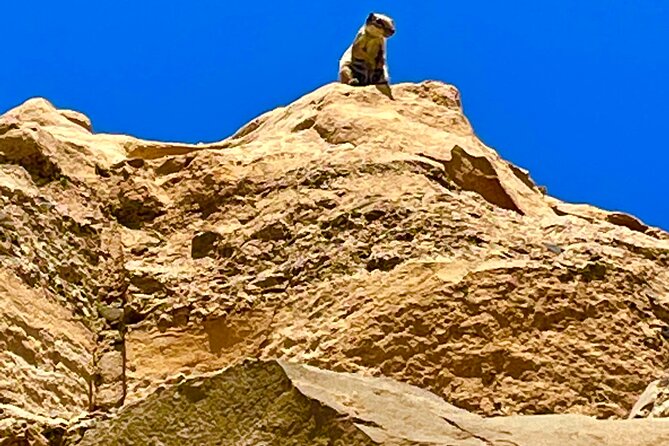 Fuerteventura: Discover Fuerteventura Tour max 8pax - Pájara and Tindaya: Village Life, a Mineral Volcano, and Sheep Country