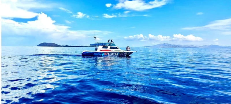 Fuerteventura: Dolphin watching and Lobo Island Combo Cruise - Seasickness, Non-Swimmers, and Back Issues: Who Should Rethink This Tour