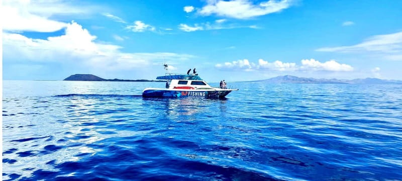 Fuerteventura: Dolphin watching and Lobo Island Combo Cruise - Best Time to Go and How Weather Changes the Feel