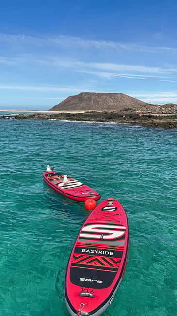 Fuerteventura: Dolphin watching and Lobo Island Combo Cruise - Corralejo Pickup and the Catamaran Setup (Live Guide, 5 Hours, and Real-World Logistics)