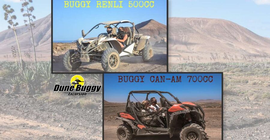 Fuerteventura: Dune Buggy Tour in Northern Fuerteventura - Quick hits before you go